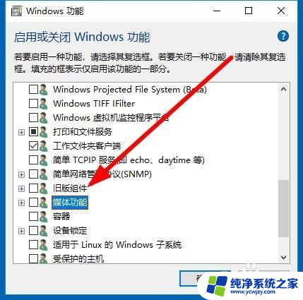 电脑没有播放器怎么安装 Win10如何重新安装Windows Media Player播放器