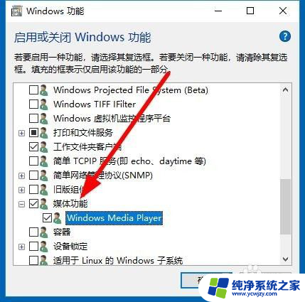 电脑没有播放器怎么安装 Win10如何重新安装Windows Media Player播放器