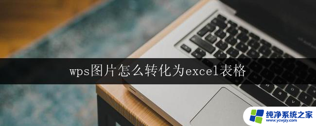 wps图片怎么转化为excel表格