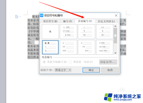 项目编号格式为序号怎么设置 Word中如何设置多级编号