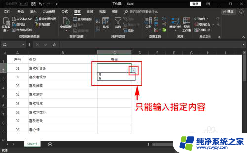 excel表格中只能输入设定值 Excel单元格内只能选择性输入指定内容的方法