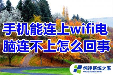 手机可以连无线网但是电脑连不上 为什么手机可以连上WiFi但电脑却连不上网