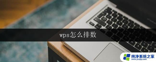 wps怎么排数 wps怎么设置页码排数