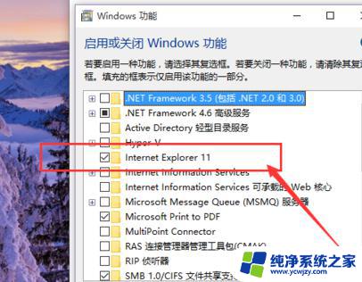 win10 ie卸载方法 win10卸载IE浏览器的详细操作方法