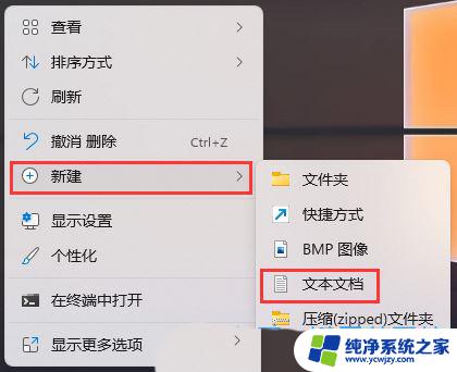 为什么我的win11里打开软件没有图标