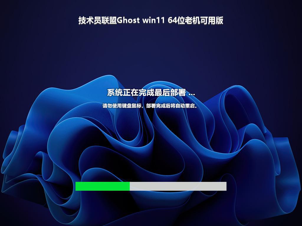 技术员联盟Ghost win11 64位老机可用版