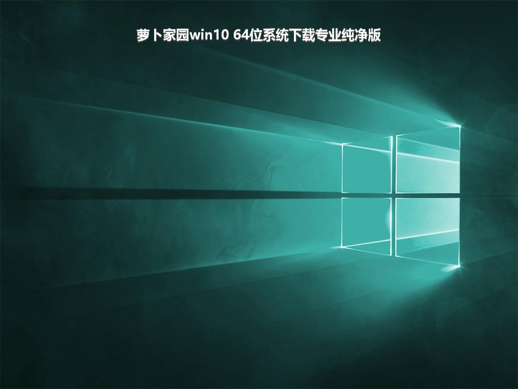 萝卜家园win10 64位系统下载专业纯净版