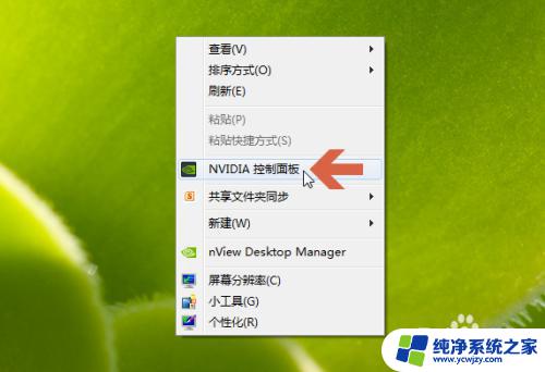 怎么查看英伟达显卡驱动版本 nvidia显卡驱动程序版本号在哪里查看