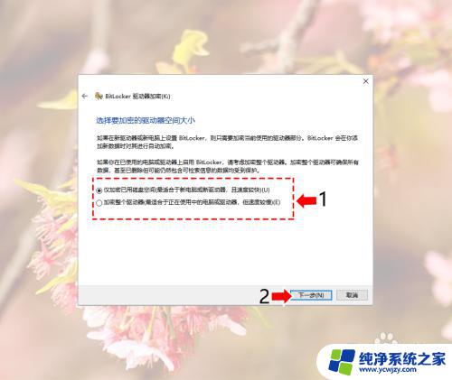 如何给电脑硬盘解密 Windows10系统如何给磁盘加密解密