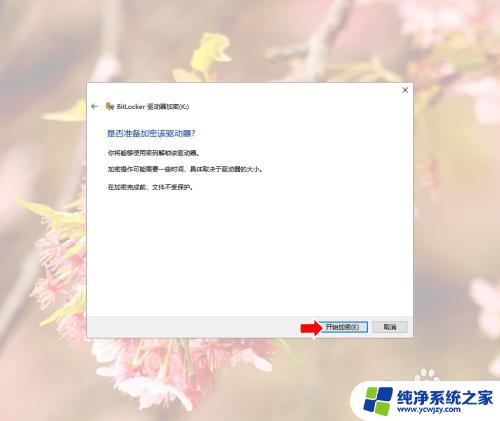 如何给电脑硬盘解密 Windows10系统如何给磁盘加密解密