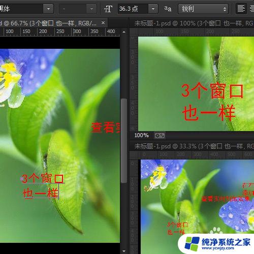 ps怎么开小窗口预览 如何在Photoshop中新建实时预览窗口