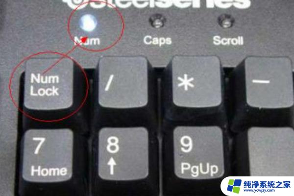 电脑右边数字键怎么打不出来数字 电脑右边键盘数字不能输入