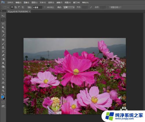 ps调节亮度和对比度 如何用Photoshop增强图片的亮度和对比度