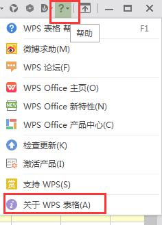 wps这是什么版本