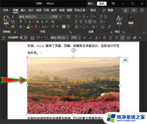 图片显示不全在文档里怎么调整 图片显示不完整怎么办