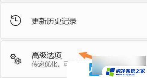 win11把显卡识别成u盘怎么办 Win11装显卡驱动错误的解决方法