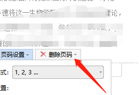 文档页码混乱怎样修改 word文档页码乱了怎么办