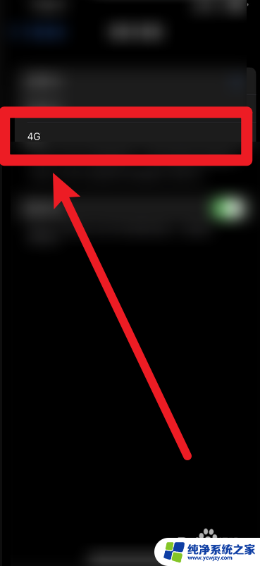 苹果怎么变4g网络 苹果手机5G网络怎么转为4G网络