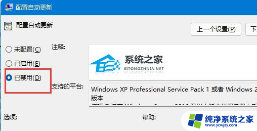 戴尔自动更新怎么关闭win11 戴尔Windows11关闭自动更新的教程