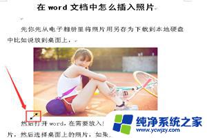 电脑文档里面怎么插图片 Word文档中如何插入照片