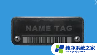 csgo改名输入不了中文 CSGO中文标签设置教程