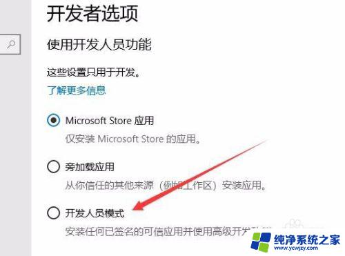 win10开发者模式怎么打开 Win10如何打开开发者选项