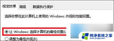 win10显示预览