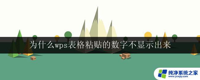 为什么wps表格粘贴的数字不显示出来 wps表格粘贴数字显示不正常