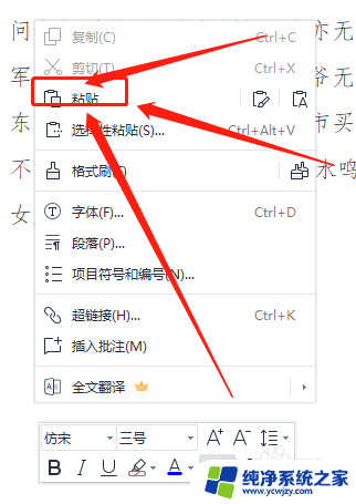 word清除格式只保留文本 如何去除Word文档中的格式只留下文字内容