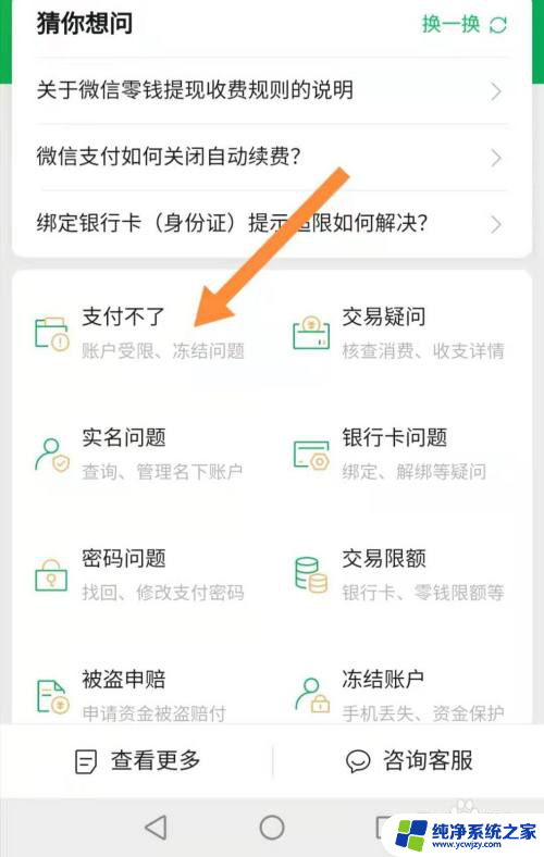 微信有零钱不能支付怎么回事 微信支付无法使用零钱支付怎么办