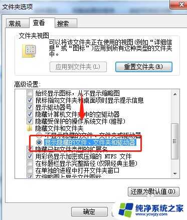 win10硬盘显示隐藏文件 WIN10移动硬盘隐藏文件显示方法